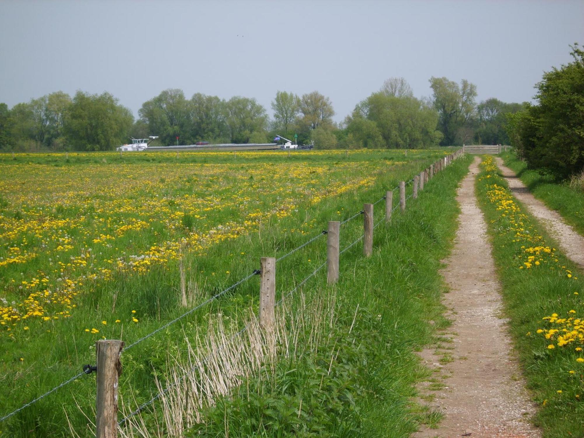 'T Kruushuus Welsum Exterior foto