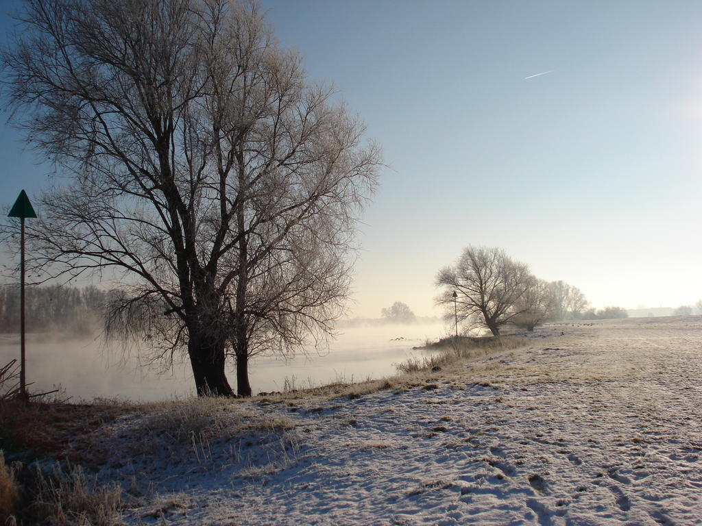 'T Kruushuus Welsum Exterior foto